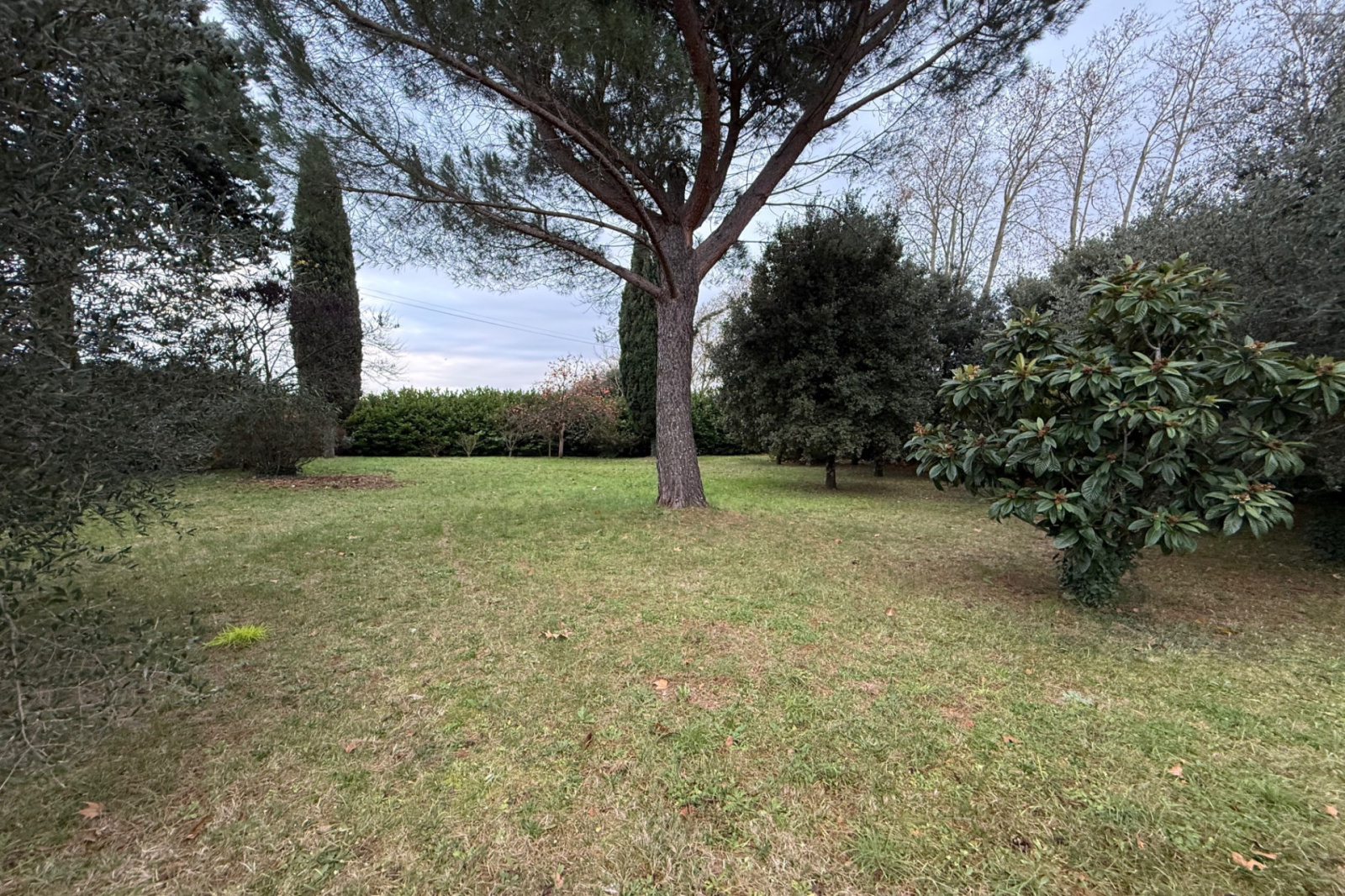 Image_, Maison, Uzès, ref :668V1118M