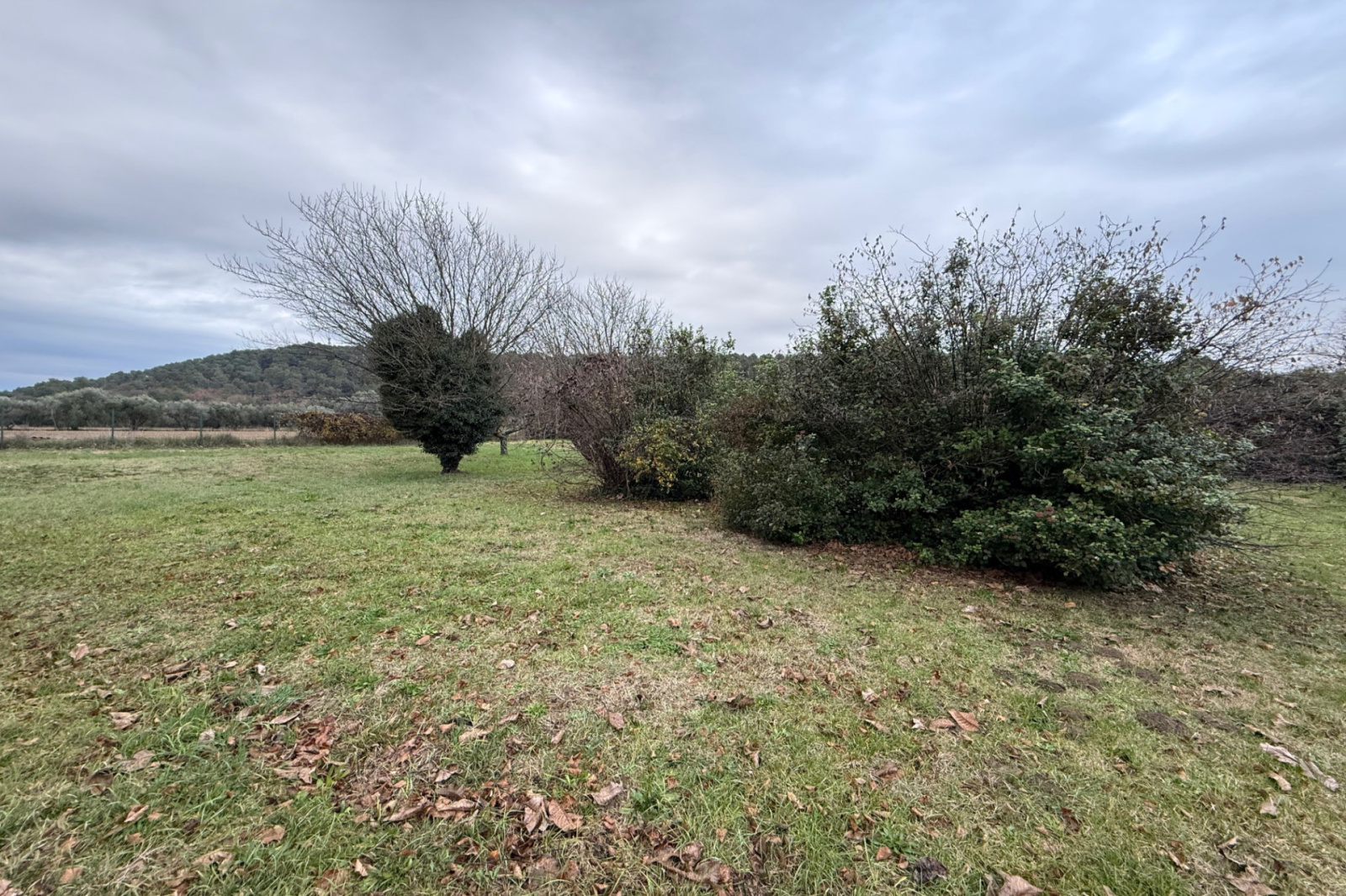 Image_, Maison, Uzès, ref :668V1118M