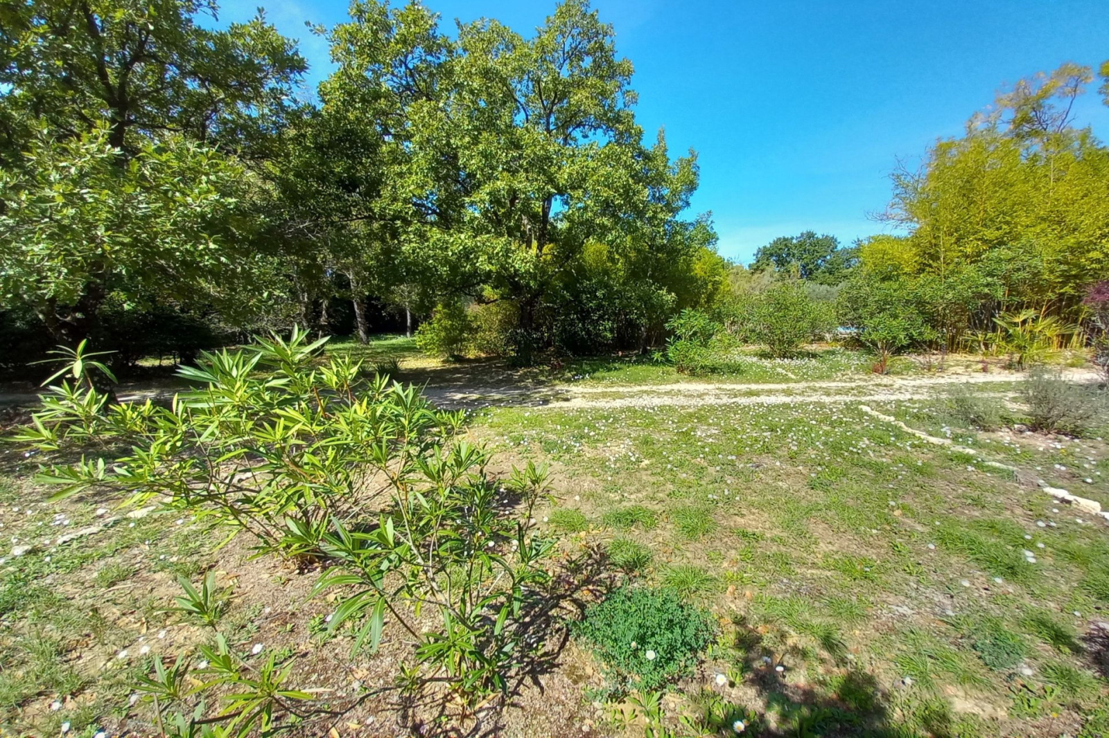 Image_, Terrain, Blauzac, ref :668V175T