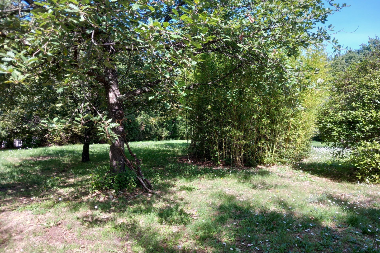 Image_, Terrain, Blauzac, ref :668V175T