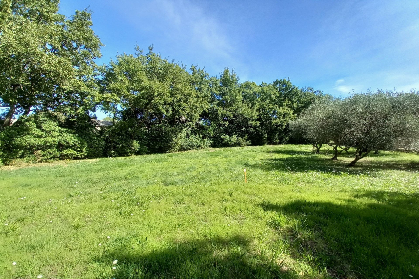 Image_, Terrain, Blauzac, ref :668V175T