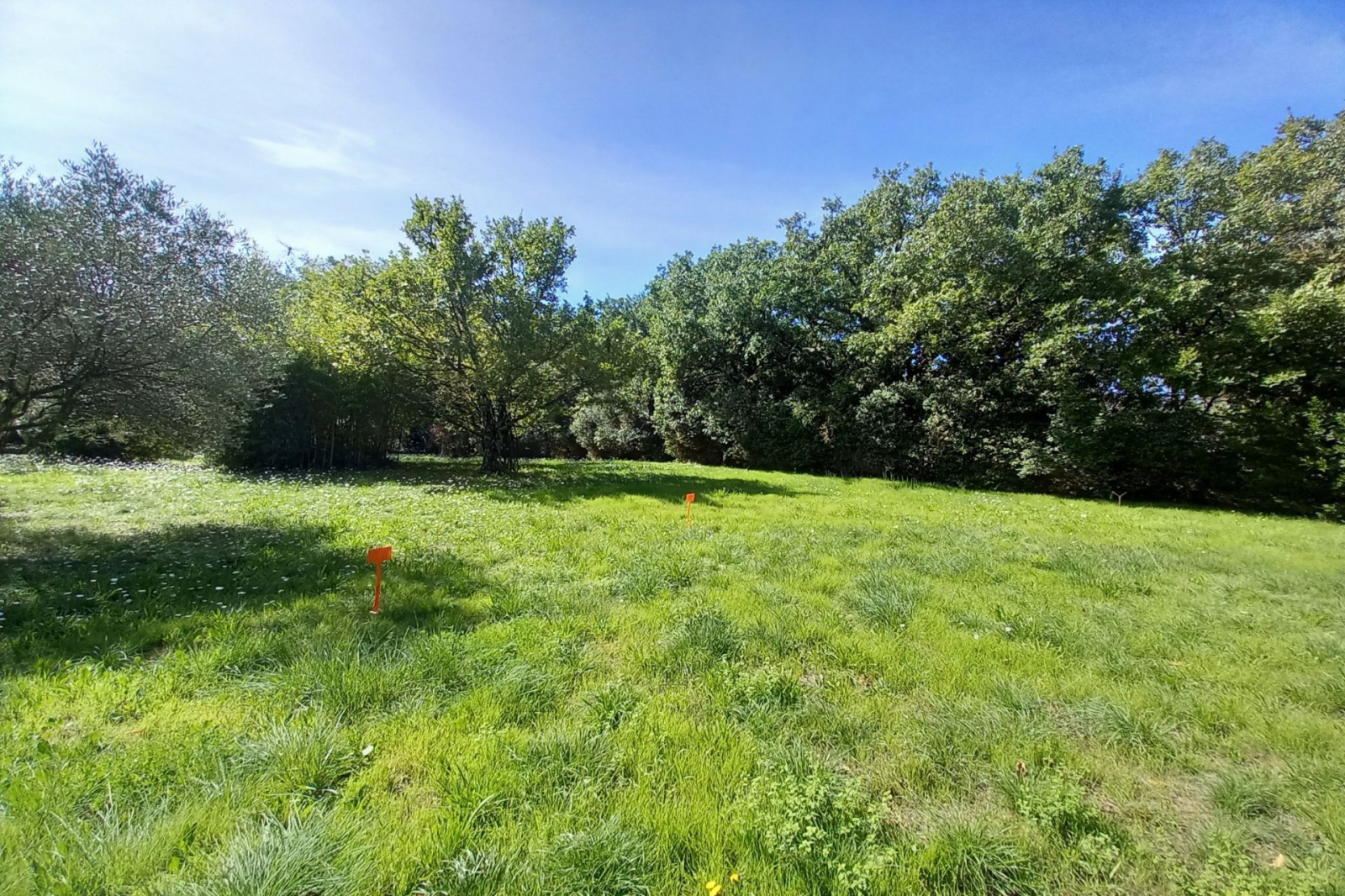 Image_, Terrain, Blauzac, ref :668V174T