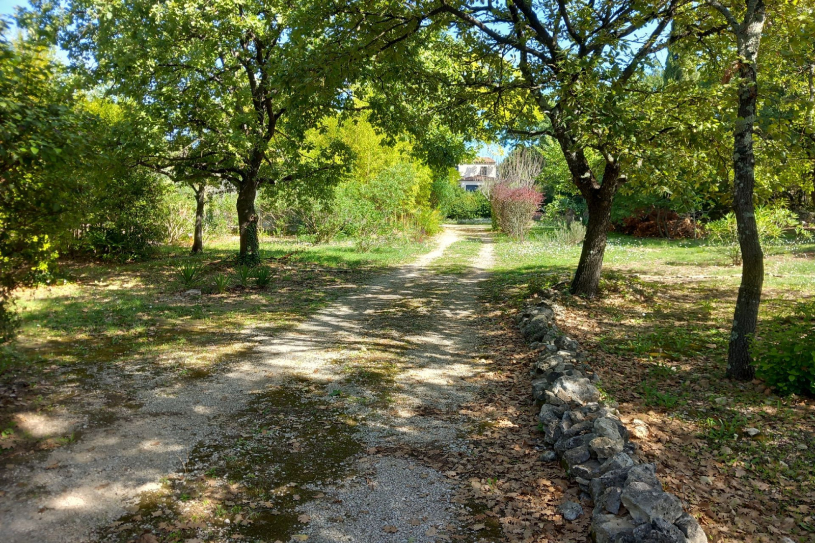 Image_, Terrain, Blauzac, ref :668V174T