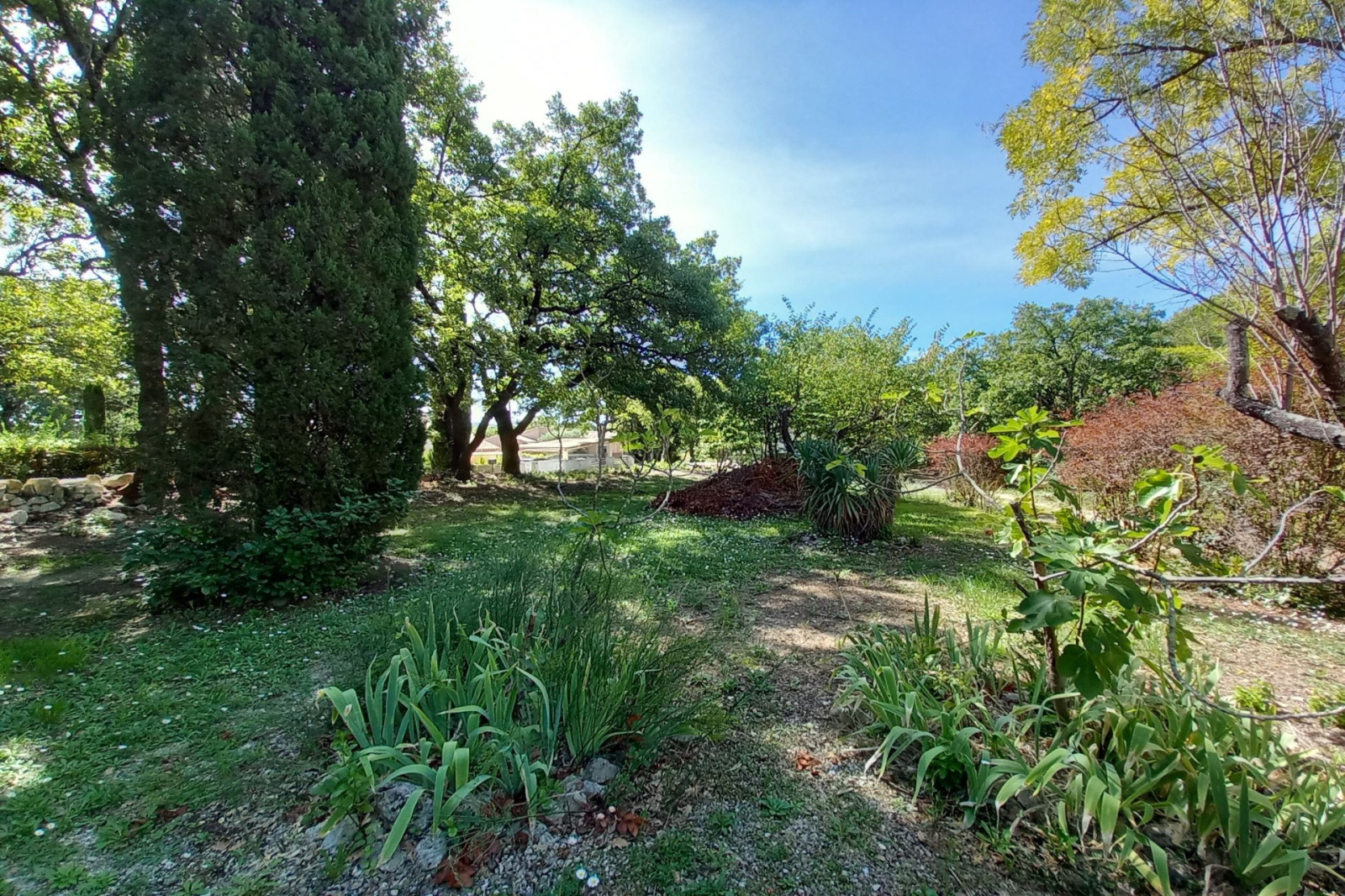 Image_, Terrain, Blauzac, ref :668V174T