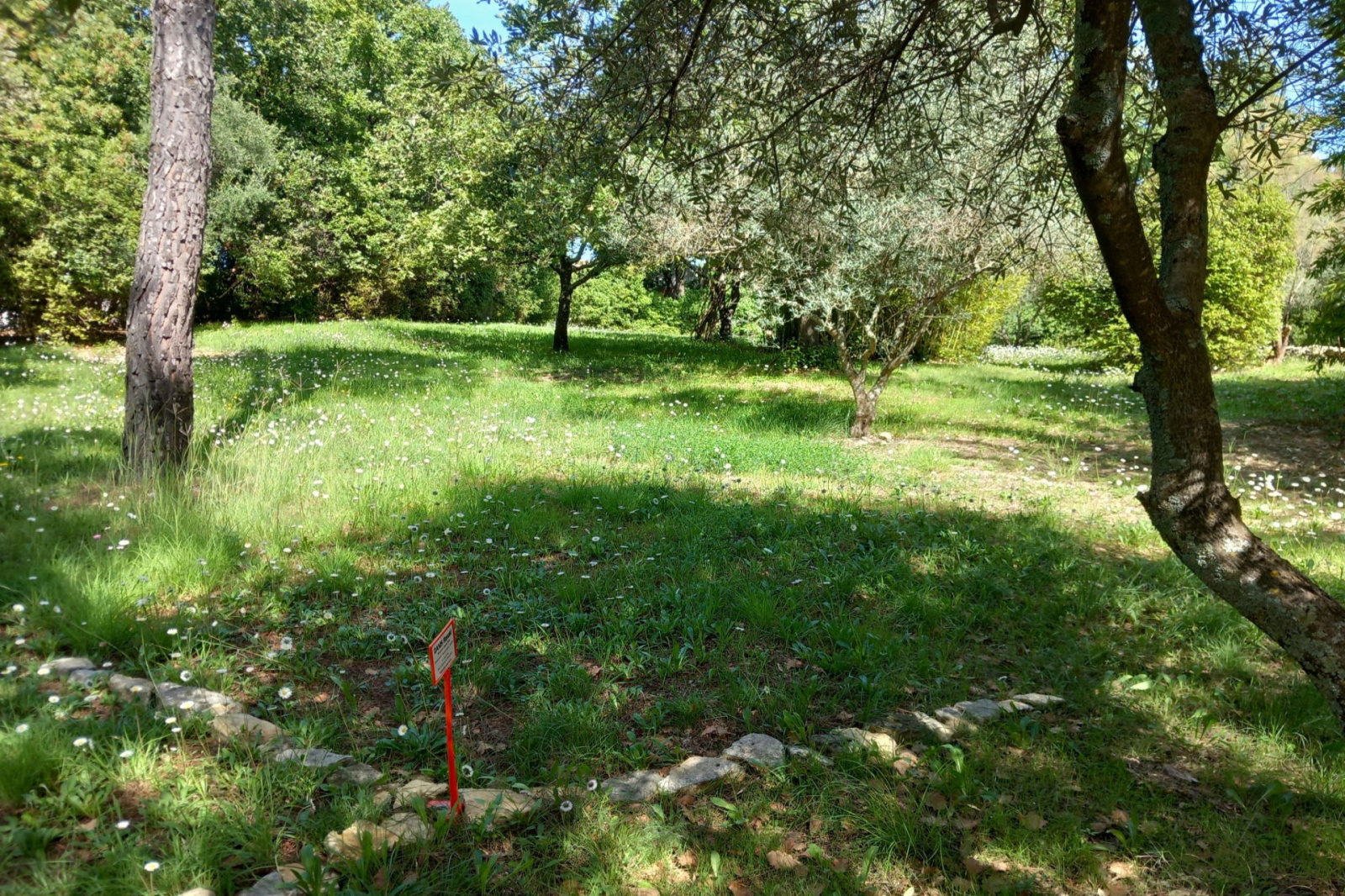 Image_, Terrain, Blauzac, ref :668V174T