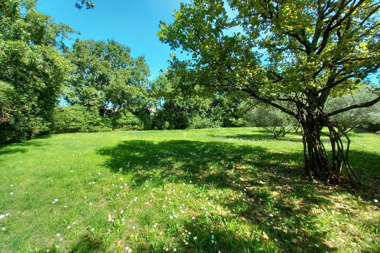 Image_, Terrain, Blauzac, ref :668V174T