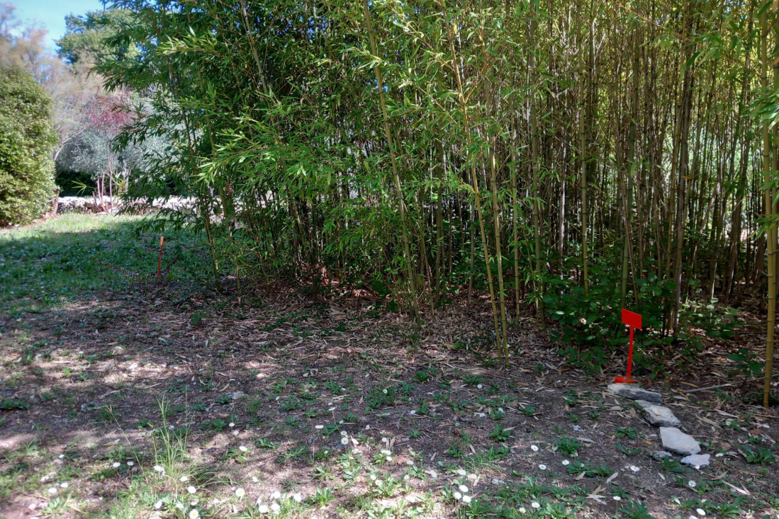 Image_, Terrain, Blauzac, ref :668V174T