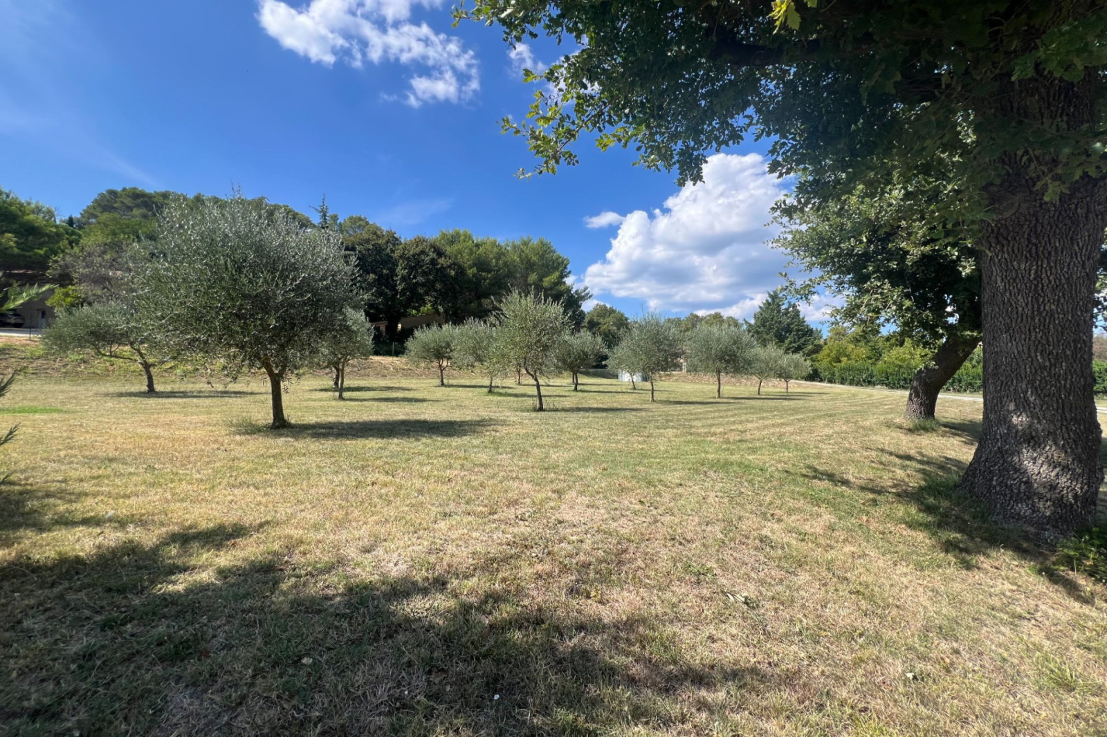 Image_, Villa, Serviers-et-Labaume, ref :668V1027M