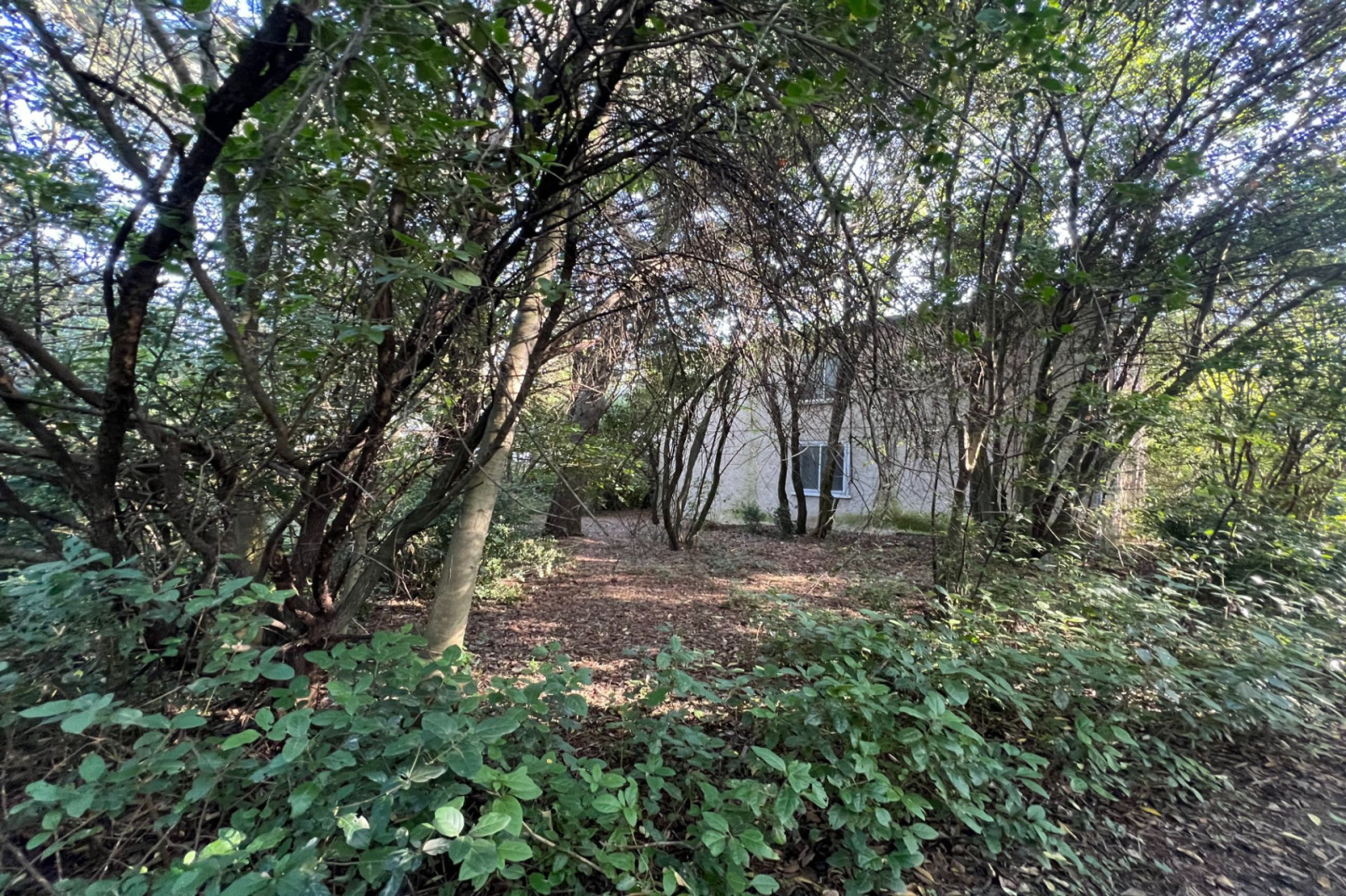 Image_, Propriete, Uzès, ref :668V1051M