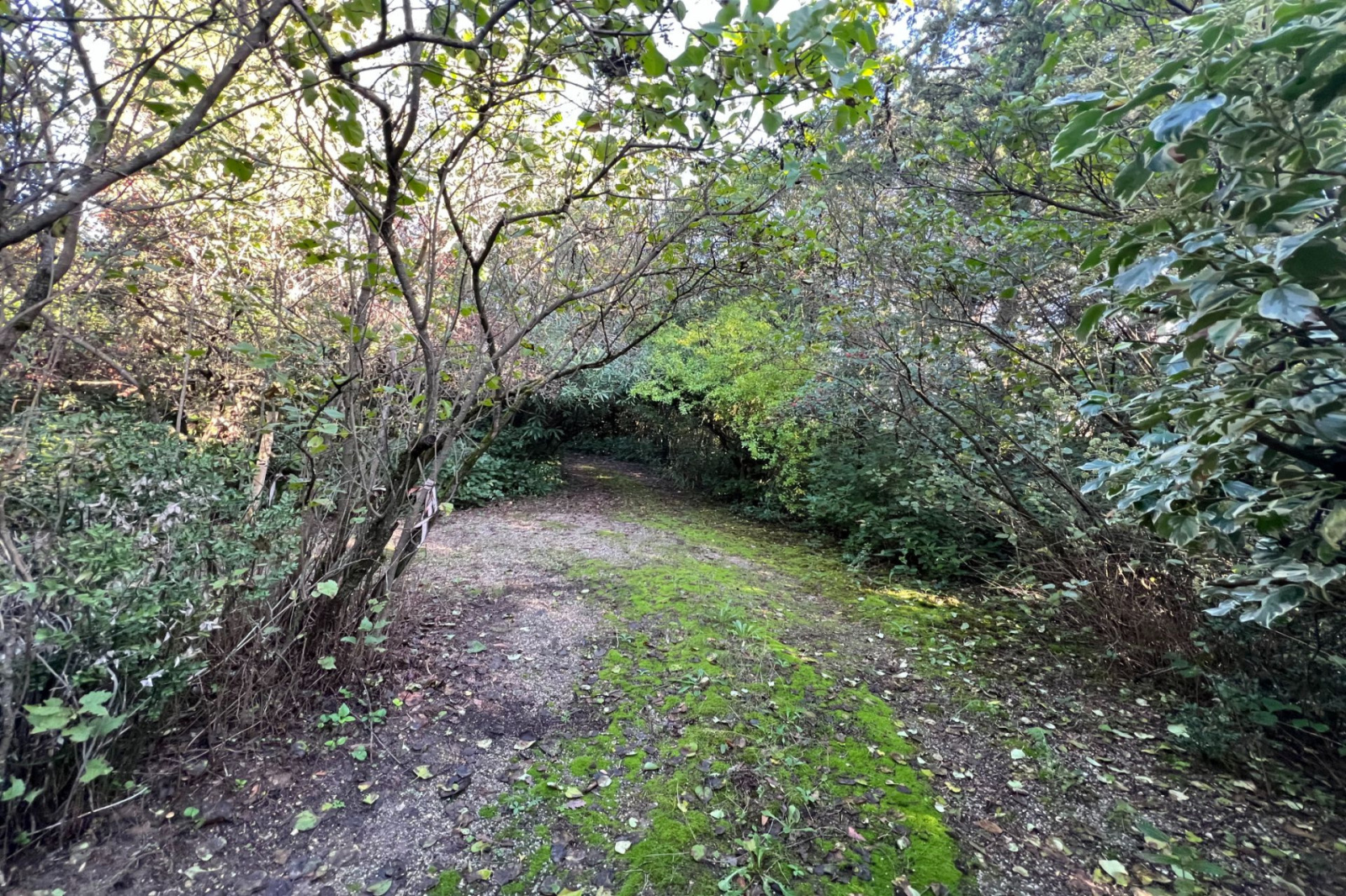 Image_, Propriete, Uzès, ref :668V1051M